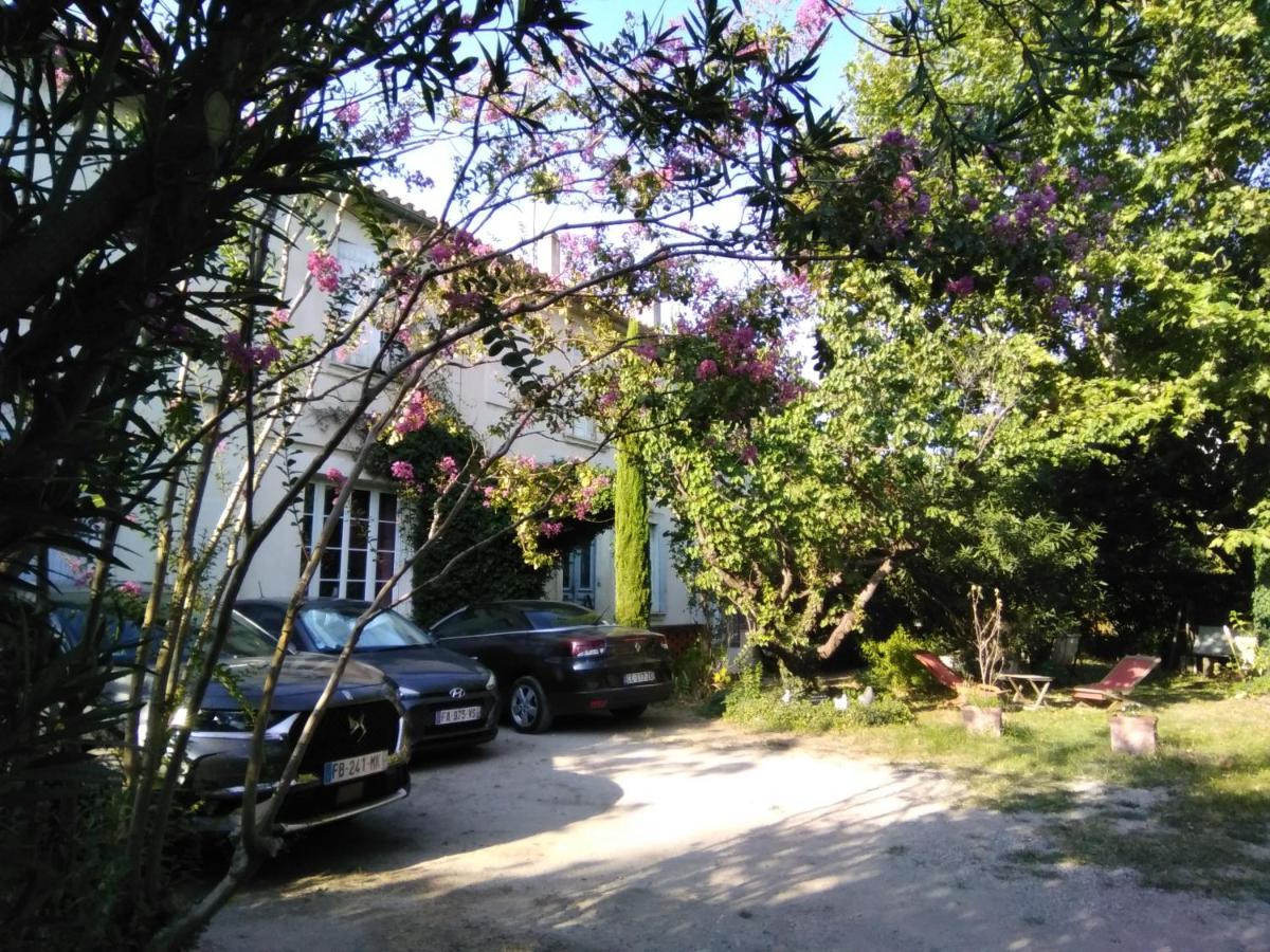 Le Petit Palais Maisonnette Lejlighedshotel Avignon Eksteriør billede