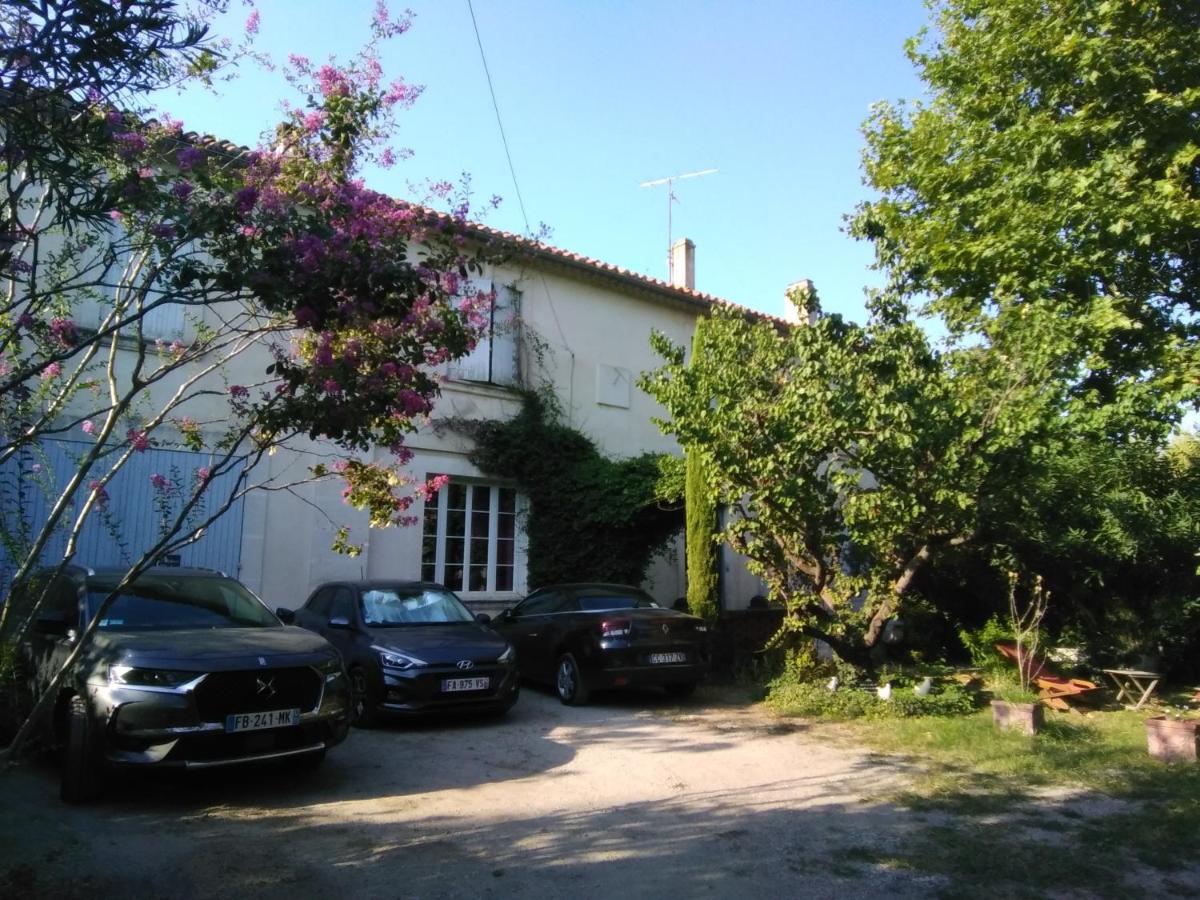 Le Petit Palais Maisonnette Lejlighedshotel Avignon Eksteriør billede